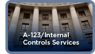 A-123/Internal Conrols Services